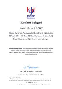 BDT Beceri (1)