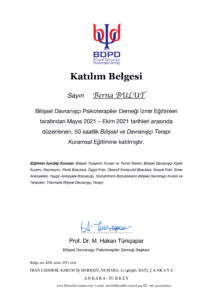 BDT Temel Eğitim (1)